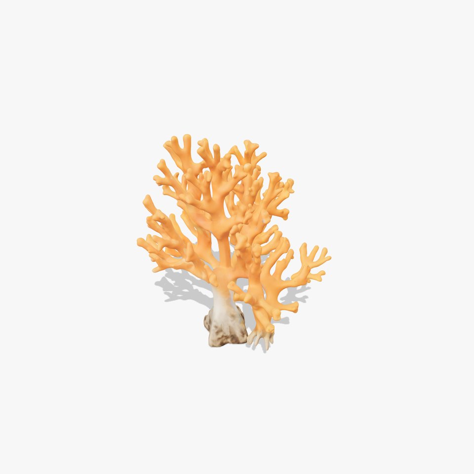 Orange Coral Sculpture model pack